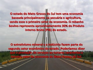 O estado do Mato Grosso do Sul tem uma economia baseada principalmente na pecuária e agricultura, sendo esse o primeiro setor da economia. O rebanho bovino representa aproximadamente 30% do Produto Interno Bruto (PIB) do estado.  O extrativismo mineral e a indústria fazem parte do segundo setor econômico do estado. Poderíamos dizer que a prestação de serviços ao turismo caracteriza o terceiro setor da economia do Mato Grosso do Sul. 