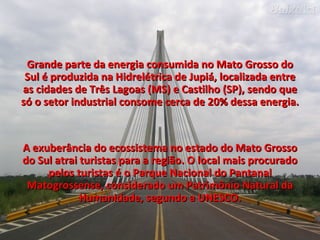 Grande parte da energia consumida no Mato Grosso do Sul é produzida na Hidrelétrica de Jupiá, localizada entre as cidades de Três Lagoas (MS) e Castilho (SP), sendo que só o setor industrial consome cerca de 20% dessa energia. A exuberância do ecossistema no estado do Mato Grosso do Sul atrai turistas para a região. O local mais procurado pelos turistas é o Parque Nacional do Pantanal Matogrossense, considerado um Patrimônio Natural da Humanidade, segundo a UNESCO. 