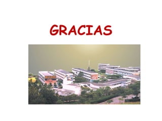 GRACIAS




          13
 
