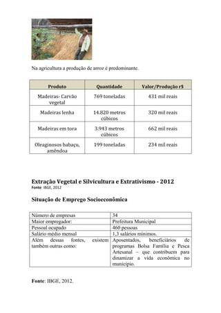 Na agricultura a produção de arroz é predominante. 
Extração Vegetal e Silvicultura e Extrativismo - 2012 
Fonte: IBGE, 2012 
Situação de Emprego Socioeconômica 
Fonte: IBGE, 2012. 
Produto Quantidade Valor/Produção r$ 
Madeiras- Carvão vegetal 
769 toneladas 
431 mil reais 
Madeiras lenha 
14.820 metros cúbicos 
320 mil reais 
Madeiras em tora 
3.943 metros cúbicos 
662 mil reais 
Oleaginosos babaçu, amêndoa 
199 toneladas 
234 mil reais 
Número de empresas 
34 
Maior empregador: 
Prefeitura Municipal 
Pessoal ocupado 
460 pessoas 
Salário médio mensal 
1,3 salários mínimos. 
Além dessas fontes, existem também outras como: 
Aposentados, beneficiários de programas Bolsa Família e Pesca Artesanal – que contribuem para dinamizar a vida econômica no município.  