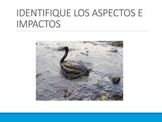 IDENTIFIQUE LOS ASPECTOS E
IMPACTOS
 