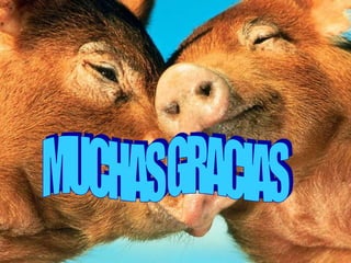 ASPECTOS EPIDEMIOLO PPC.ppt