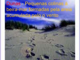 Dunas- Pequenas colinas á beira-mar formadas pela areia acumulada pelo o vento 