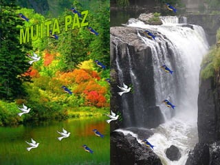 Aspectos espirituais de saúde e doenças1