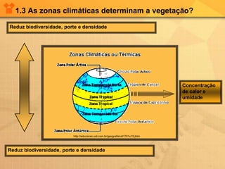 1.3 As zonas climáticas determinam a vegetação?
Reduz biodiversidade, porte e densidade
Reduz biodiversidade, porte e densidade
Concentração
de calor e
umidade
http://educacao.uol.com.br/geografia/ult1701u15.jhtm
 