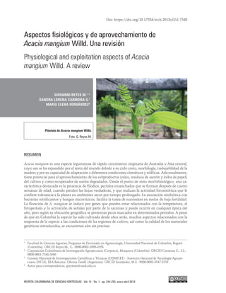 Doi: https://doi.org/10.17584/rcch.2018v12i1.7340
REVISTA COLOMBIANA DE CIENCIAS HORTÍCOLAS - Vol. 12 - No. 1 - pp. 244-253, enero-abril 2018
Aspectos fisiológicos y de aprovechamiento de
Acacia mangium Willd. Una revisión
Physiological and exploitation aspects of Acacia
mangium Willd. A review
GIOVANNI REYES M.1, 4
SANDRA LORENA CARMONA G.2
MARÍA ELENA FERNÁNDEZ3
Plántula de Acacia mangium Willd.
Foto: G. Reyes M.
RESUMEN
Acacia mangium es una especie leguminosa de rápido crecimiento originaria de Australia y Asia central,
cuyo uso se ha expandido por el resto del mundo debido a su ciclo corto, morfología, trabajabilidad de la
madera y por su capacidad de adaptación a diferentes condiciones climáticas y edáficas. Adicionalmente,
tiene potencial para el aprovechamiento de los subproductos (raleo, residuos de aserrín y lodos de papel)
del cultivo y como recuperador de suelos degradados. Desde el punto de vista morfofisiológico, una ca-
racterística destacada es la presencia de filodios, pecíolos ensanchados que se forman después de cuatro
semanas de edad, cuando pierden las hojas verdaderas, y que realizan la actividad fotosintética que le
confiere tolerancia a la planta en ambientes secos por tiempo prolongado. La asociación simbiótica con
bacterias nitrificantes y hongos micorrícicos, facilita la toma de nutrientes en suelos de baja fertilidad.
La floración de A. mangium se induce por genes que pueden estar relacionados con la temperatura, el
fotoperíodo y la activación de señales por parte de la sacarosa y puede ocurrir en cualquier época del
año, pero según su ubicación geográfica se presentan picos marcados en determinados periodos. A pesar
de que en Colombia la especie ha sido cultivada desde años atrás, muchos aspectos relacionados con la
respuesta de la especie a las condiciones de las regiones de cultivo, así como la calidad de los materiales
genéticos introducidos, se encuentran aún sin precisar.
1
	 Facultad de Ciencias Agrarias, Programa de Doctorado en Agroecología, Universidad Nacional de Colombia, Bogotá
(Colombia). ORCID Reyes M., G.: 0000-0002-2606-3558
2
	 Corporación Colombiana de Investigación Agropecuaria (Corpoica), Mosquera (Colombia). ORCID Carmona G., S.L.:
0000-0001-7348-3566
3
	 Consejo Nacional de Investigaciones Científicas y Técnicas (CONICET) - Instituto Nacional de Tecnología Agrope-
cuaria (INTA), EEA Balcarce, Oficina Tandil (Argentina). ORCID Fernández, M.E.: 0000-0002-9547-2216
4
	 Autor para correspondencia. greyesm@unal.edu.co
 