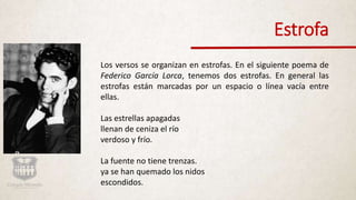Estrofa
Los versos se organizan en estrofas. En el siguiente poema de
Federico García Lorca, tenemos dos estrofas. En general las
estrofas están marcadas por un espacio o línea vacía entre
ellas.
Las estrellas apagadas
llenan de ceniza el río
verdoso y frío.
La fuente no tiene trenzas.
ya se han quemado los nidos
escondidos.
 