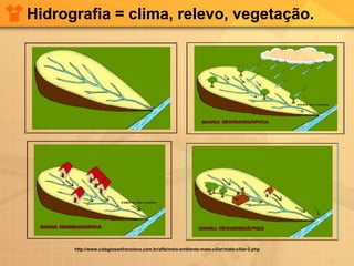 Hidrografia = clima, relevo, vegetação.
http://www.colegiosaofrancisco.com.br/alfa/meio-ambiente-mata-ciliar/mata-ciliar-2.php
 