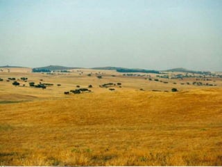 Aspectos físicos da europa