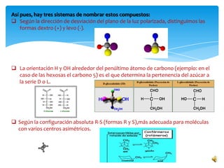 Así pues, hay tres sistemas de nombrar estos compuestos:
 Según la dirección de desviación del plano de la luz polarizada, distinguimos las
formas dextro (+) y levo (-).
 La orientación H y OH alrededor del penúltimo átomo de carbono (ejemplo: en el
caso de las hexosas el carbono 5) es el que determina la pertenencia del azúcar a
la serie D o L.
 Según la configuración absoluta R-S (formas R y S),más adecuada para moléculas
con varios centros asimétricos.
 