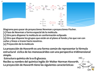 Diagrama para pasar de proyecciones Newman a proyecciones Fischer.
[1] Paso de Newman a forma espacial de la molécula.
[2] Giro para disponer la molécula en conformación eclipsada
[3] Giro que dispone los grupos que están en el plano al fondo y los que van con
cuñas y líneas a trazos hacia nosotros.
[4] Proyección de la molécula
La proyección de Haworth es una forma común de representar la fórmula
estructural cíclica de los monosacáridos con una perspectiva tridimensional
simple.
Estructura química de la α-D-glucosa.
Recibe su nombre del químico inglés Sir Walter Norman Haworth.
La proyección de Haworth tiene las siguientes características:
 