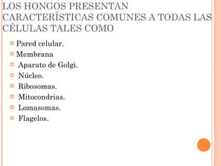 LOS HONGOS PRESENTAN CARACTERÍSTICAS COMUNES A TODAS LAS CÉLULAS TALES COMO Pared celular. Membrana   Aparato de Golgi.   Núcleo.   Ribosomas.   Mitocondrias.   Lomasomas.   Flagelos. 
