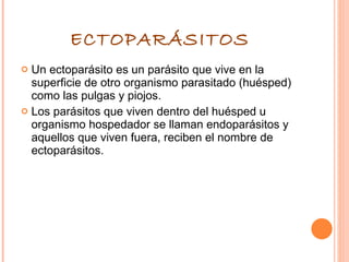 ECTOPARÁSITOS Un ectoparásito es un parásito que vive en la superficie de otro organismo parasitado (huésped) como las pulgas y piojos. Los parásitos que viven dentro del huésped u organismo hospedador se llaman endoparásitos y aquellos que viven fuera, reciben el nombre de ectoparásitos.  
