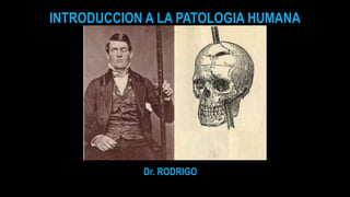 INTRODUCCION A LA PATOLOGIA HUMANA
Dr. RODRIGO
 