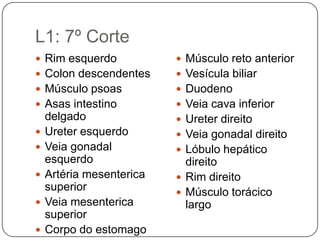 T10: 4º Corte