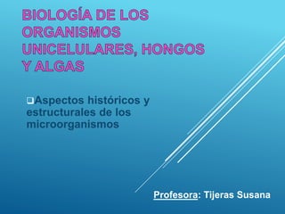 Aspectos históricos y
estructurales de los
microorganismos
Profesora: Tijeras Susana
 