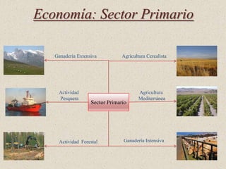 Economía: Sector Primario

   Ganadería Extensiva          Agricultura Cerealista




    Actividad                           Agricultura
    Pesquera                            Mediterránea
                   Sector Primario




    Actividad Forestal          Ganadería Intensiva
 