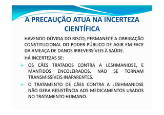 A PRECAUÇÃO ATUA NA INCERTEZA
CIENTÍFICA
HAVENDO DÚVIDA DO RISCO, PERMANECE A OBRIGAÇÃO
CONSTITUCIONAL DO PODER PÚBLICO DE AGIR EM FACE
DA AMEAÇA DE DANOS IRREVERSÍVEIS À SAÚDE.
HÁ INCERTEZAS SE:
Ø OS CÃES TRATADOS CONTRA A LESHMANIOSE, E
MANTIDOS ENCOLEIRADOS, NÃO SE TORNAM
TRANSMISSÍVEIS INAPARENTES.
Ø O TRATAMENTO DE CÃES CONTRA A LESIHMANIOSE
NÃO GERA RESISTÊNCIA AOS MEDICAMENTOS USADOS
NO TRATAMENTO HUMANO.
 