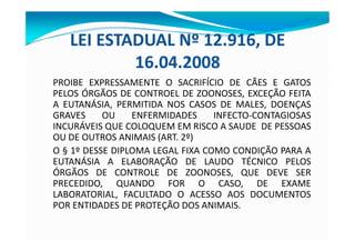 LEI ESTADUAL Nº 12.916, DE
16.04.2008
PROIBE EXPRESSAMENTE O SACRIFÍCIO DE CÃES E GATOS
PELOS ÓRGÃOS DE CONTROEL DE ZOONOSES, EXCEÇÃO FEITA
A EUTANÁSIA, PERMITIDA NOS CASOS DE MALES, DOENÇAS
GRAVES OU ENFERMIDADES INFECTO-CONTAGIOSAS
INCURÁVEIS QUE COLOQUEM EM RISCO A SAUDE DE PESSOAS
OU DE OUTROS ANIMAIS (ART. 2º)
O § 1º DESSE DIPLOMA LEGAL FIXA COMO CONDIÇÃO PARA A
EUTANÁSIA A ELABORAÇÃO DE LAUDO TÉCNICO PELOS
ÓRGÃOS DE CONTROLE DE ZOONOSES, QUE DEVE SER
PRECEDIDO, QUANDO FOR O CASO, DE EXAME
LABORATORIAL, FACULTADO O ACESSO AOS DOCUMENTOS
POR ENTIDADES DE PROTEÇÃO DOS ANIMAIS.
 