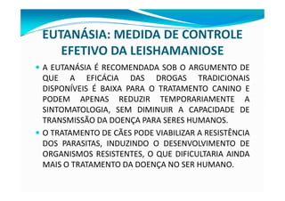 EUTANÁSIA: MEDIDA DE CONTROLE
EFETIVO DA LEISHAMANIOSE
— A EUTANÁSIA É RECOMENDADA SOB O ARGUMENTO DE
QUE A EFICÁCIA DAS DROGAS TRADICIONAIS
DISPONÍVEIS É BAIXA PARA O TRATAMENTO CANINO E
PODEM APENAS REDUZIR TEMPORARIAMENTE A
SINTOMATOLOGIA, SEM DIMINUIR A CAPACIDADE DE
TRANSMISSÃO DA DOENÇA PARA SERES HUMANOS.
— O TRATAMENTO DE CÃES PODE VIABILIZAR A RESISTÊNCIA
DOS PARASITAS, INDUZINDO O DESENVOLVIMENTO DE
ORGANISMOS RESISTENTES, O QUE DIFICULTARIA AINDA
MAIS O TRATAMENTO DA DOENÇA NO SER HUMANO.
 