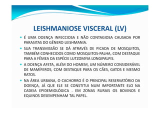 LEISHMANIOSE VISCERAL (LV)
— É UMA DOENÇA INFECCIOSA E NÃO CONTAGIOSA CAUSADA POR
PARASITAS DO GÊNERO LEISHMANIA.
— SUA TRANSMISSÃO SE DÁ ATRAVÉS DE PICADA DE MOSQUITOS,
TAMBÉM CONHECIDOS COMO MOSQUITOS-PALHA, COM DESTAQUE
PARA A FÊMEA DA ESPÉCIE LUTZOMYIA LONGIPALPIS.
— A DOENÇA AFETA, ALÉM DO HOMEM, UM NÚMERO CONSIDERÁVEL
DE MAMÍFEROS, COM DESTAQUE PARA OS CÃES, GATOS E MESMO
RATOS.
— NA ÁREA URBANA, O CACHORRO É O PRINCIPAL RESERVATÓRIO DA
DOENÇA, JÁ QUE ELE SE CONSTITUI NUM IMPORTANTE ELO NA
CADEIA EPIDEMIOLÓGICA . EM ZONAS RURAIS OS BOVINOS E
EQUINOS DESEMPENHAM TAL PAPEL.
 