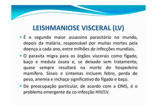 LEISHMANIOSE VISCERAL (LV)
— É o segundo maior assassino parasitário no mundo,
depois da malária, responsável por muitas mortes pela
doença a cada ano, entre milhões de infecções mundiais.
— O parasita migra para os órgãos viscerais como fígado,
baço e medula óssea e, se deixado sem tratamento,
quase sempre resultará na morte do hospedeiro
mamífero. Sinais e sintomas incluem febre, perda de
peso, anemia e inchaço significativo do fígado e baço.
— De preocupação particular, de acordo com a OMS, é o
problema emergente da co-infecção HIV/LV.
 