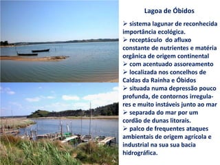 Lagoa de Óbidos
 sistema lagunar de reconhecida
importância ecológica.
 receptáculo do afluxo
constante de nutrientes e matéria
orgânica de origem continental
 com acentuado assoreamento
 localizada nos concelhos de
Caldas da Rainha e Óbidos
 situada numa depressão pouco
profunda, de contornos irregula-
res e muito instáveis junto ao mar
 separada do mar por um
cordão de dunas litorais.
 palco de frequentes ataques
ambientais de origem agrícola e
industrial na sua sua bacia
hidrográfica.
 