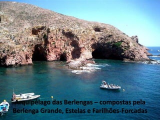 Arquipélago das Berlengas – compostas pela
Berlenga Grande, Estelas e Farilhões-Forcadas
 