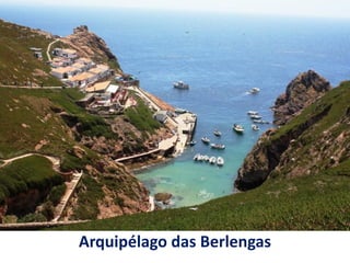 Arquipélago das Berlengas
 