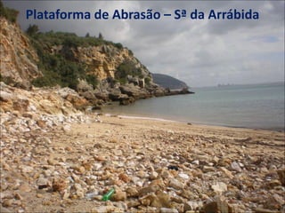 Plataforma de Abrasão – Sª da Arrábida
 