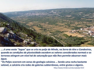 ....é uma vasta "lagoa" que se cria no polje de Minde, na Serra de Aire e Candeeiros,
quando as condições de pluviosidade excedem os valores considerados normais e os
terrenos atingem um nível tal de saturação que não lhes permite absorver mais
água.
"Os Poljes ocorrem em zonas de geologia calcárea … Sendo uma rocha bastante
solúvel, o calcário cria redes de galerias subterrâneas, entre grutas e algares.
http://www.minde.eu/natura/polje.html
 
