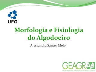 Morfologia e Fisiologia
do Algodoeiro
Alessandra Santos Melo
 