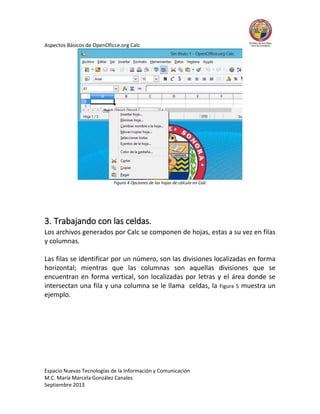 Aspectos Básicos de OpenOficce.org Calc

Figura 4 Opciones de las hojas de cálculo en Calc

3. Trabajando con las celdas.
Los archivos generados por Calc se componen de hojas, estas a su vez en filas
y columnas.
Las filas se identificar por un número, son las divisiones localizadas en forma
horizontal; mientras que las columnas son aquellas divisiones que se
encuentran en forma vertical, son localizadas por letras y el área donde se
intersectan una fila y una columna se le llama celdas, la Figura 5 muestra un
ejemplo.

Espacio Nuevas Tecnologías de la Información y Comunicación
M.C. María Marcela González Canales
Septiembre 2013

 