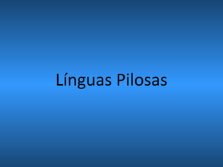 Línguas Pilosas
 