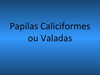 Papilas Caliciformes
ou Valadas
 