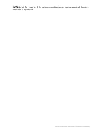 NOTA: Incluir las evidencias de los instrumentos aplicados o los recursos a partir de los cuales 
obtuvieron la información. 
Martha Patricia Dorado Huitrón. ENES/Adecuación Curricular-2014 
