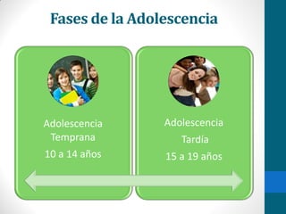 Adolescencia
Temprana
10 a 14 años
Adolescencia
Tardía
15 a 19 años
Fases de la Adolescencia
 