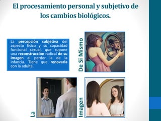 El procesamientopersonaly subjetivode
los cambiosbiológicos.
La percepción subjetiva del
aspecto físico y su capacidad
funcional sexual, que supone
una reconstrucción radical de su
imagen al perder la de la
infancia. Tiene que renovarla
con la adulta.
La
ImagenDeSiMismo
 