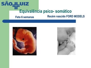 Equivalência psico- somático Feto 6 semanas Recém nascido FORD MODELS  