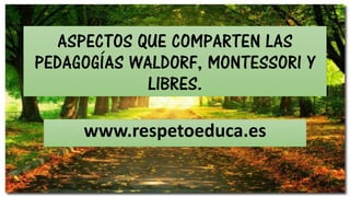 ASPECTOS QUE COMPARTEN LAS
PEDAGOGÍAS WALDORF, MONTESSORI Y
LIBRES.
www.respetoeduca.es
 
