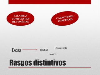 Rasgos distintivos
PALABRAS
COMPUESTAS
DE FONÉMAS
CARACTERES
FONÉTICOS
Besa Bilabial
Obstruyente
Sonoro
 