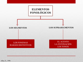 ELEMENTOS
FONOLÓGICOS
LOS SEGMENTOS LOS SUPRASEGMENTOS
LOS FONEMAS
RASGOS DISTINTIVOS
EL ACENTO
LA ENTONACIÓN
LOS TONOS
Alba, O., 1998
 