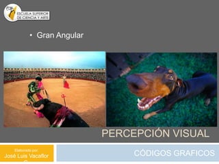• Gran Angular




                             PERCEPCIÓN VISUAL
    Elaborado por:
José Luis Vacaflor                CÓDIGOS GRAFICOS
 