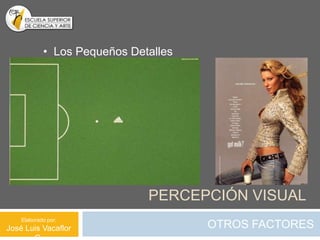 • Los Pequeños Detalles




                              PERCEPCIÓN VISUAL
    Elaborado por:
José Luis Vacaflor                    OTROS FACTORES
 