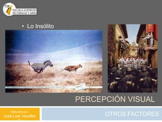 • Lo Insólito




                            PERCEPCIÓN VISUAL
    Elaborado por:
José Luis Vacaflor                OTROS FACTORES
 