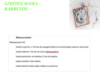 LIMITES MAMA –
BARRETOS
 