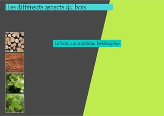 Les différents aspects du bois




                  Le bois, un matériau hétérogène
 