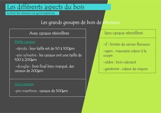 Les différents aspects du bois
Le bois des résineux ou gymnospermes


                         Les grands groupes de bois de résineux

                Avec canaux résinifères                Sans canaux résinifères

     Petits canaux
                                                       -if : limites de cernes flexueux
      -épicéa : leur taille est de 50 à 100µm
                                                       -sapin : mauvaise odeur à la
      -pin sylvestre : les canaux ont une taille de    coupe
     100 à 200µm
                                                       -cèdre : bois odorant
      -douglas : bois final bien marqué, des
                                                       -genévrier : odeur de crayon
     canaux de 200µm


     Gros canaux
     -pin maritime : canaux de 500µm
 