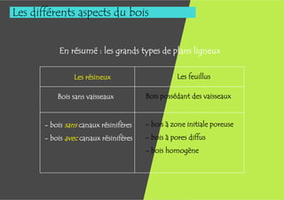 Les différents aspects du bois


            En résumé : les grands types de plans ligneux

                 Les résineux                      Les feuillus

           Bois sans vaisseaux          Bois possédant des vaisseaux


       - bois sans canaux résinifères   - bois à zone initiale poreuse
       - bois avec canaux résinifères   - bois à pores diffus
                                        - bois homogène
 