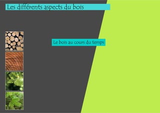 Les différents aspects du bois




                  Le bois au cours du temps
 